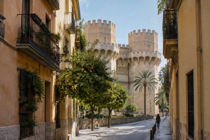 Free Tour Valencia: Historic Center