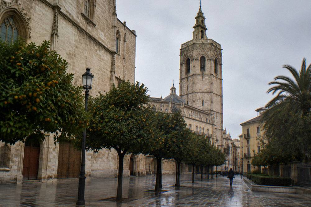Pale stone cathedral wall and square bell tower rising above orange trees on a damp square