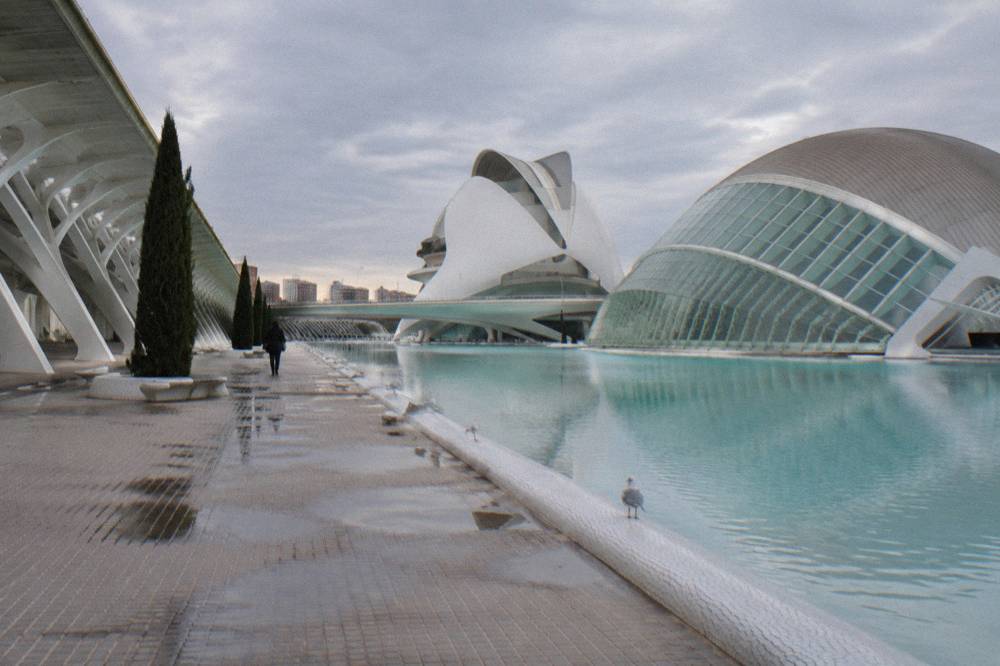 Wide landscaped walkway between futuristic white buildings with reflecting pools