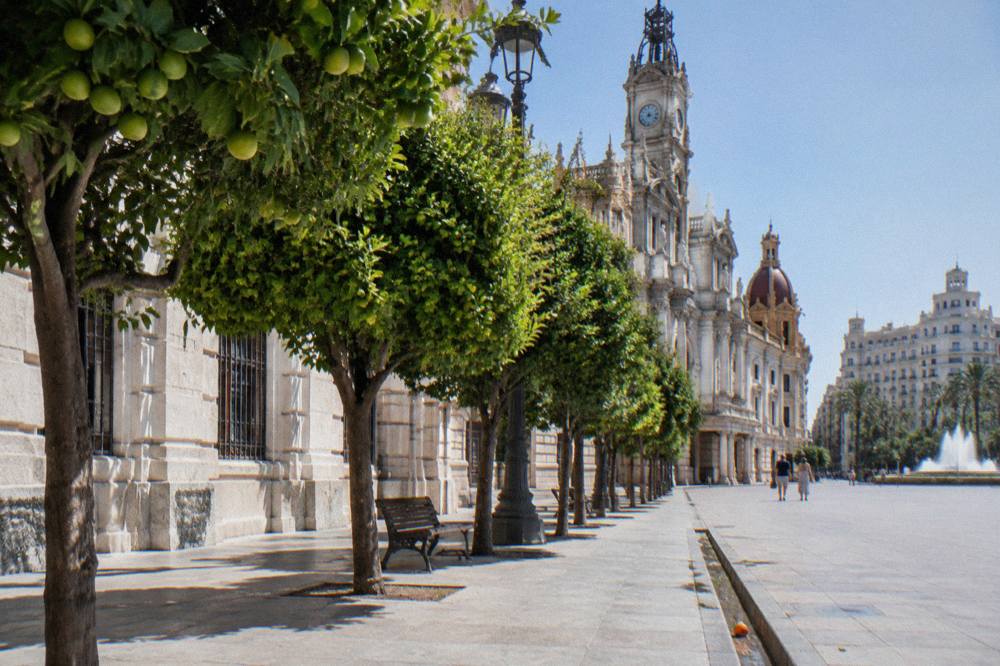 Sunlit medieval square in Valencia with orange trees and historic facades