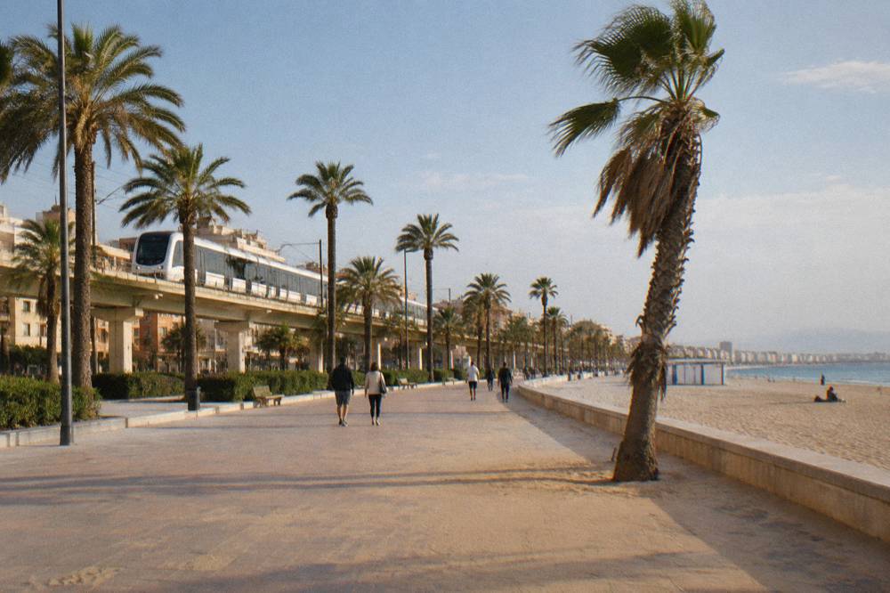 A white metro train arriving at an above-ground stop beside a palm-lined street
