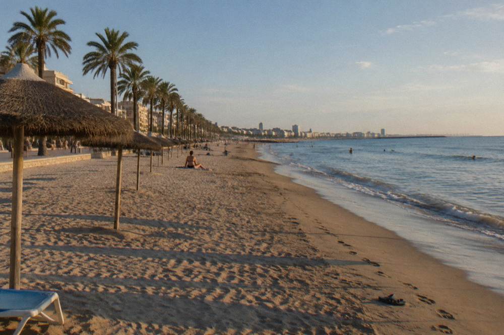 Wide sandy beach with calm sea and a long palm-lined promenade under a clear sky