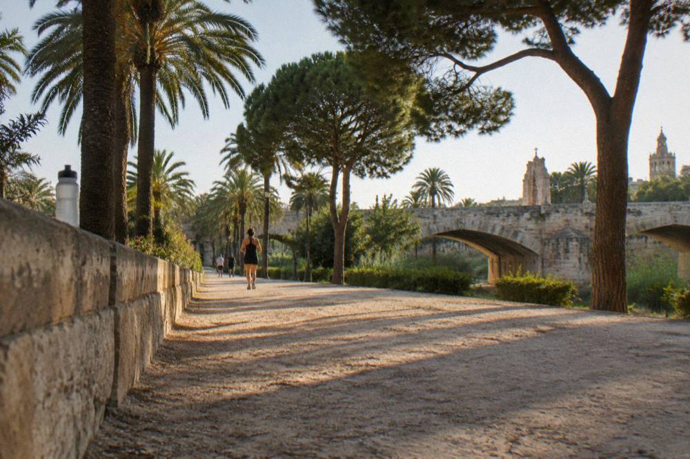 Palm-lined path through the Turia gardens with historic bridges crossing the old riverbed
