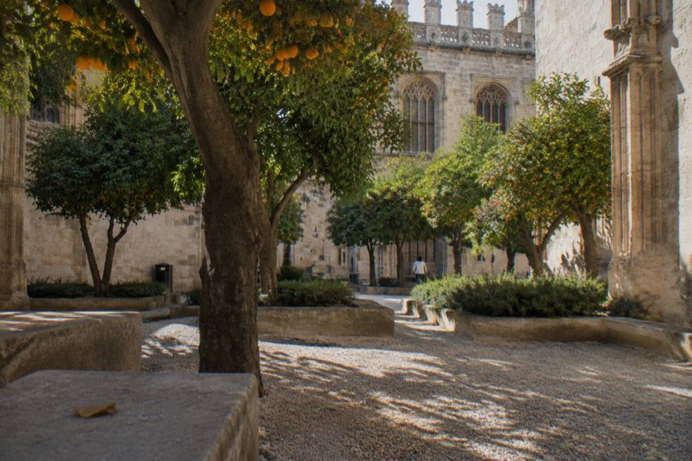 Interior courtyard of a Gothic stone exchange hall with orange trees