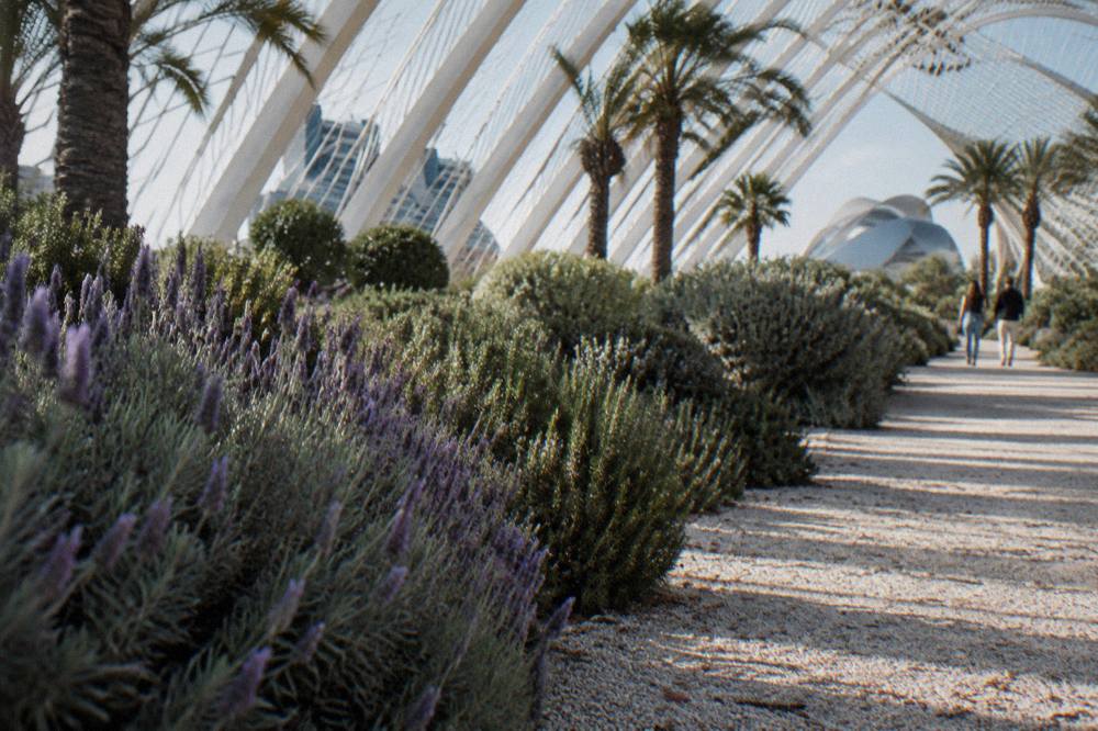 Long white canopy of the Umbracle promenade with planted gardens and views of the complex