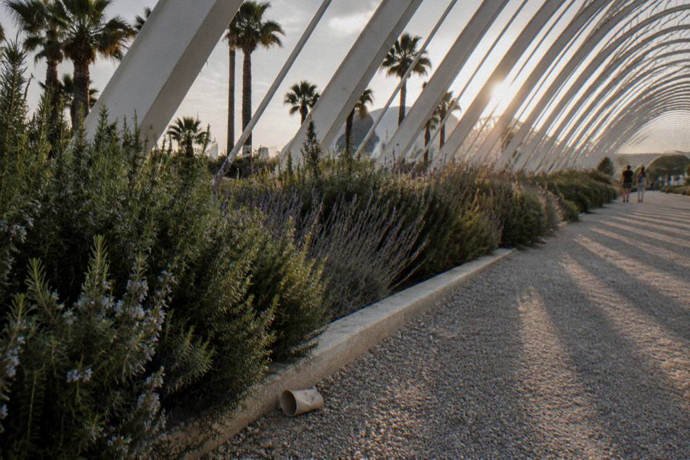 Close view of white ribbed roof structure over the promenade of the complex