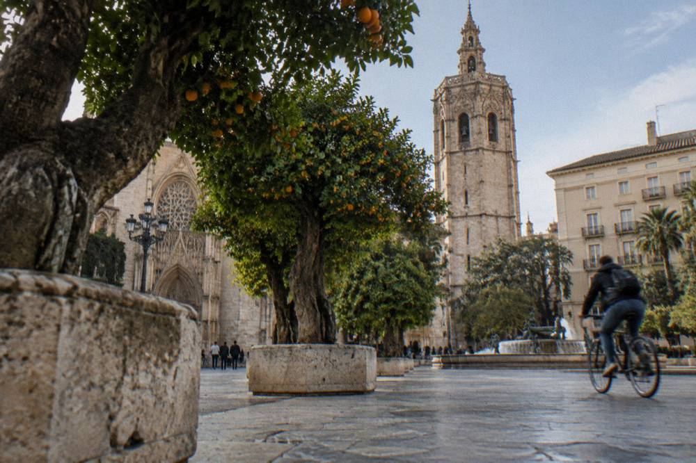 Orange trees lining a plaza in central Valencia with baroque church towers behind
