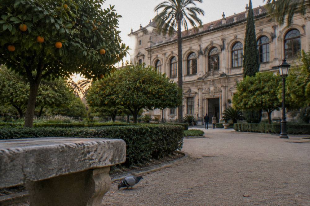 Grand stone museum building with arched windows seen from a leafy garden square