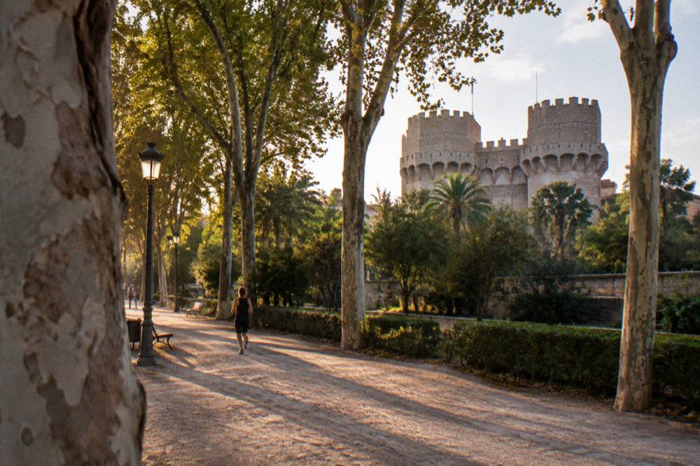 Wide tree-lined path through the Turia gardens with the old town towers in the distance