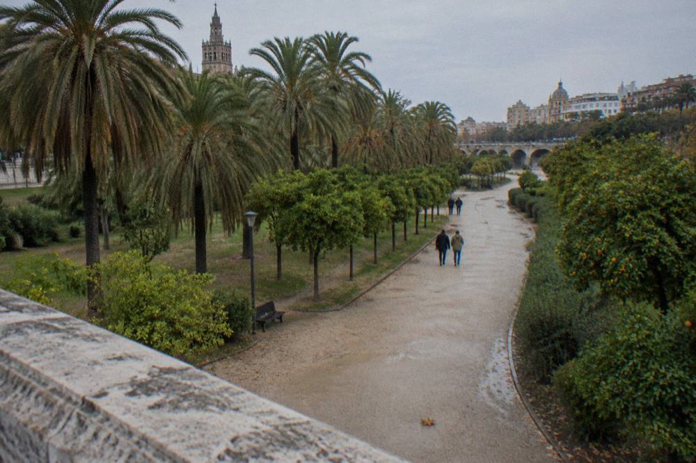 Wide green park path curving through the former riverbed with palm trees and bridges