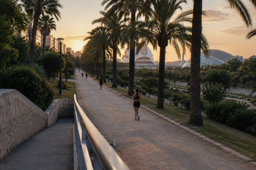 Palm trees and a long straight path through the riverbed park with the City Of Arts And Sciences visible ahead