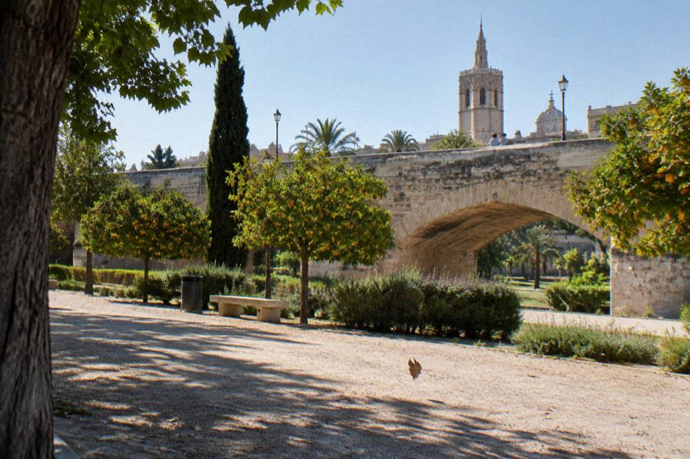 Gardens stretching through the old riverbed beneath a stone bridge with the city skyline behind