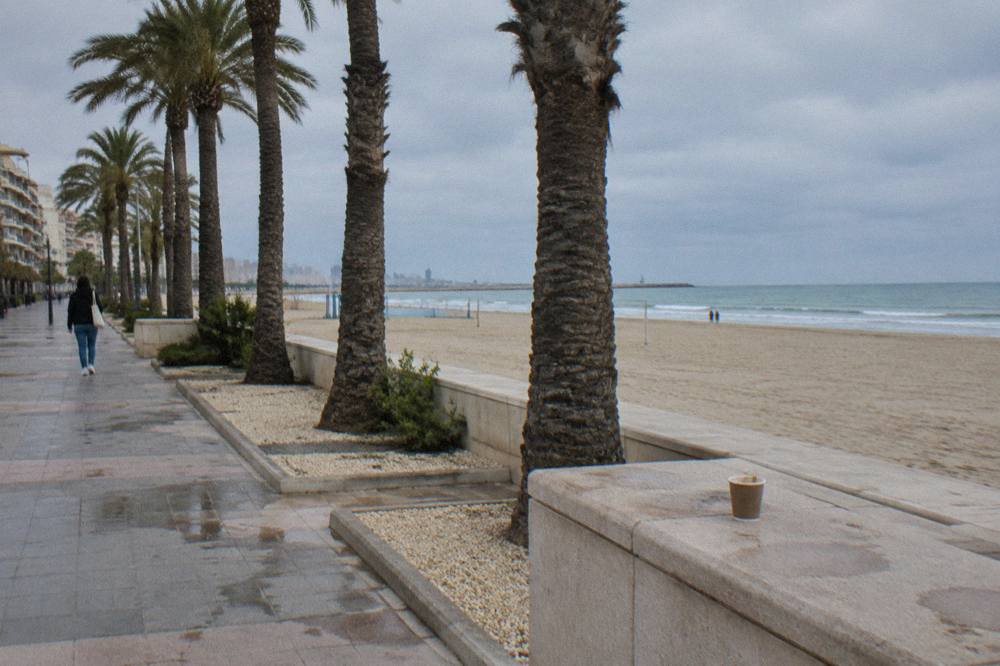 Palm-lined promenade beside a wide sandy beach with calm morning water