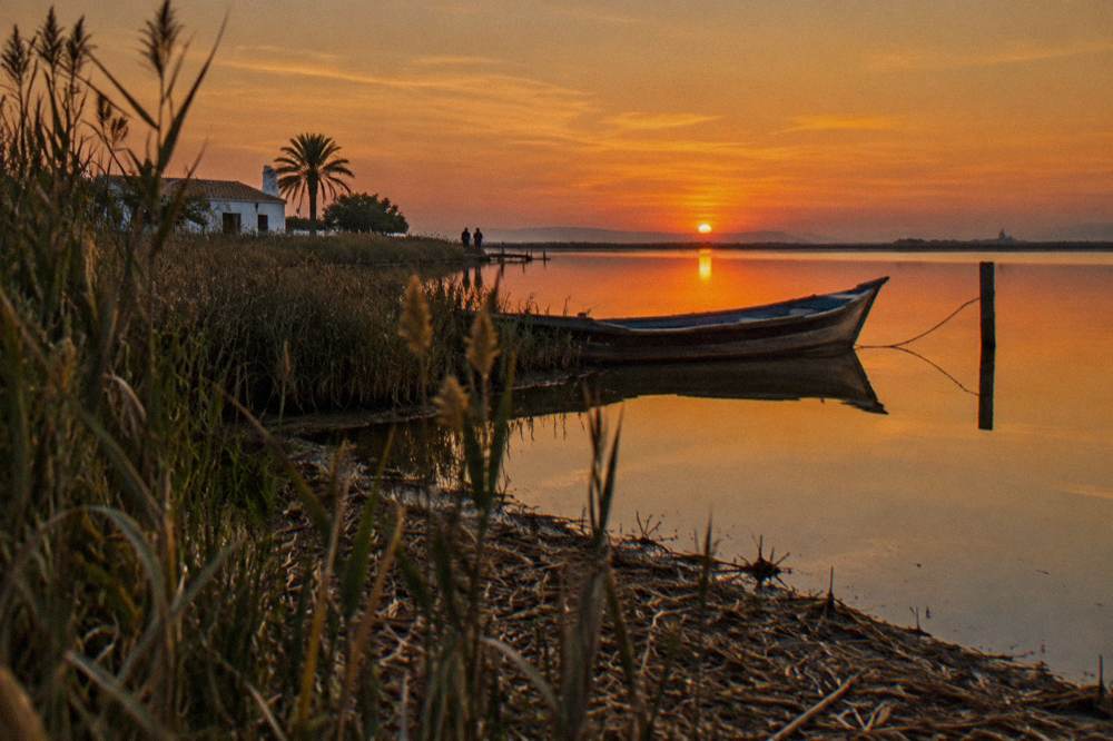 Calm lake at sunset with reeds along the shore and flat water reflecting the sky