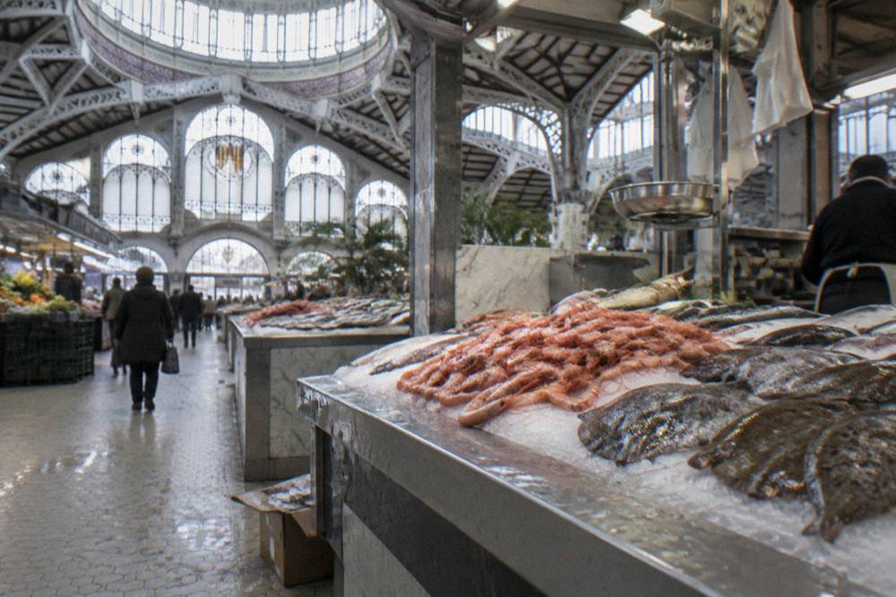 Fishmonger counter with seafood arranged on ice under market lighting