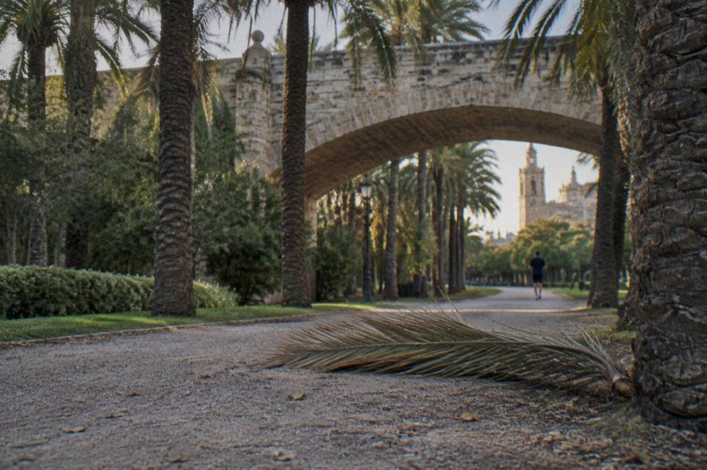 Wide garden path lined with trees and a bridge overhead in a former riverbed park