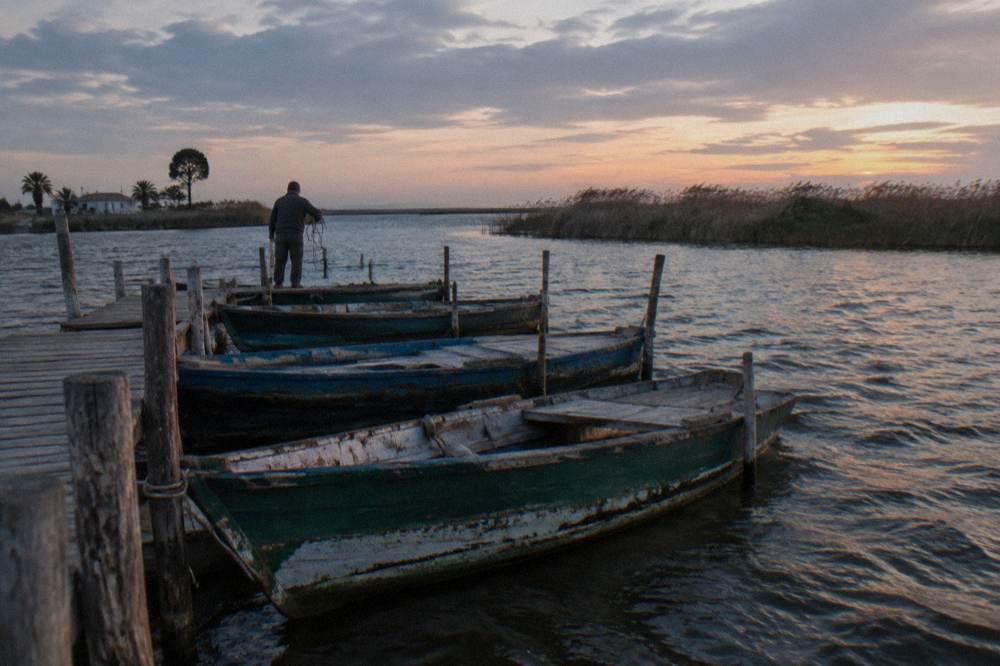 Wooden boats moored on the still water of the Albufera lake at dusk